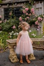 Load image into Gallery viewer, Nylah Dress-Petite Heart Rosie