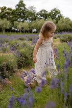 Load image into Gallery viewer, Organic Cotton Arabella Jumpsuit - Juniper Fields Blue