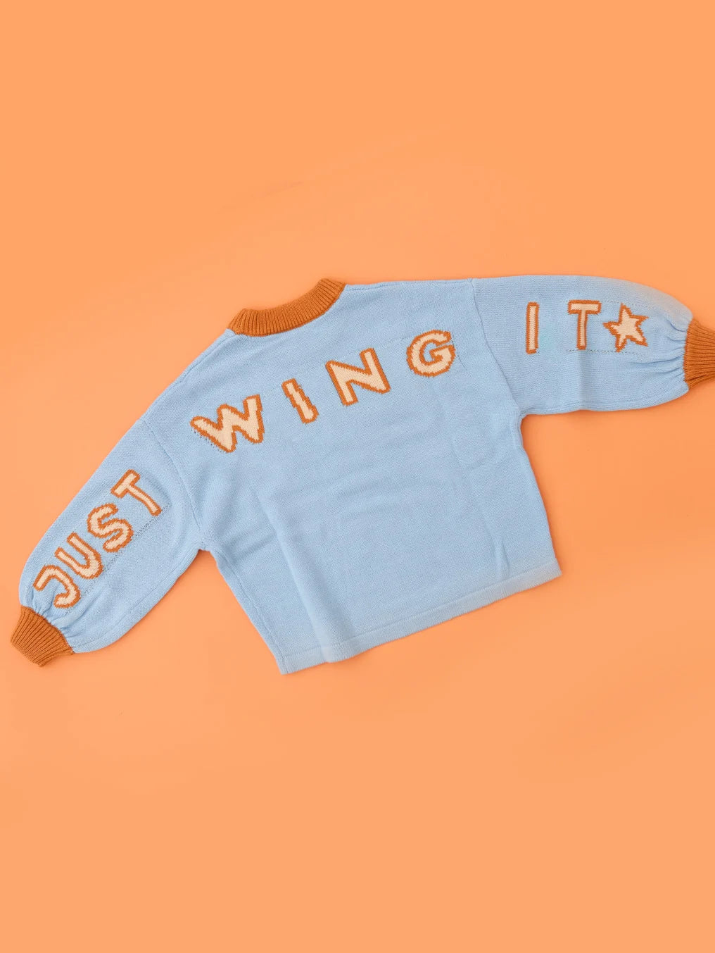 Just Wing It Knit Pullover
