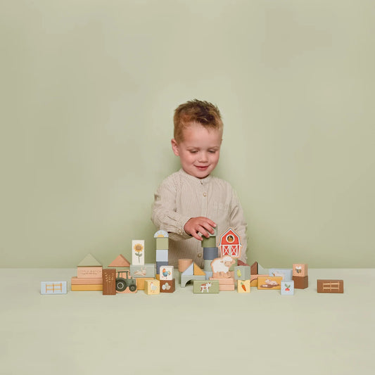 Little Farm Building Blocks