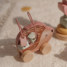 Load image into Gallery viewer, Fairy Garden Gift Box