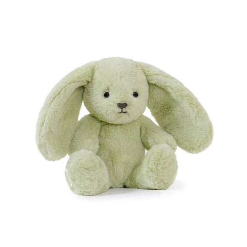 Clover Cottontail Bunny