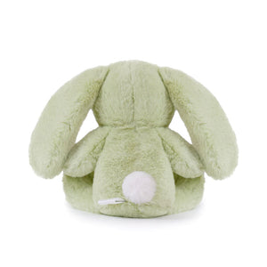 Clover Cottontail Bunny