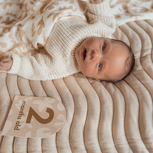 Baby Milestone Cards | Helios