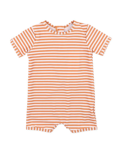 Harvey Stripe SS Rash Suit