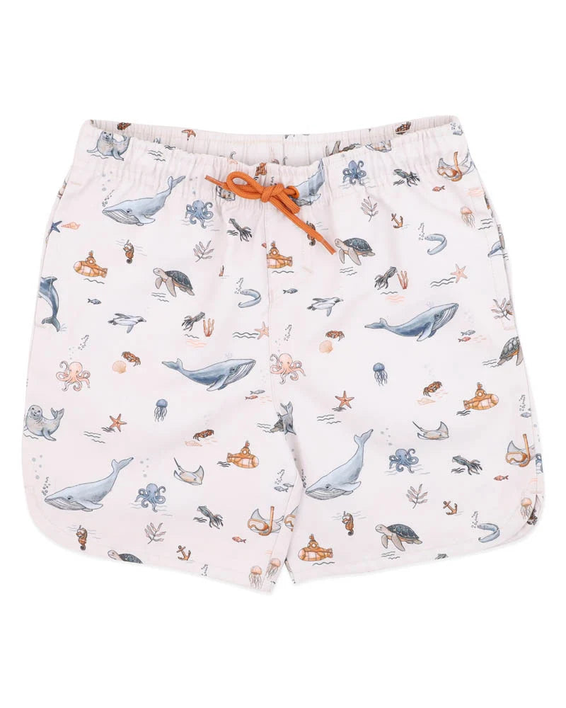 Harvey Board Shorts