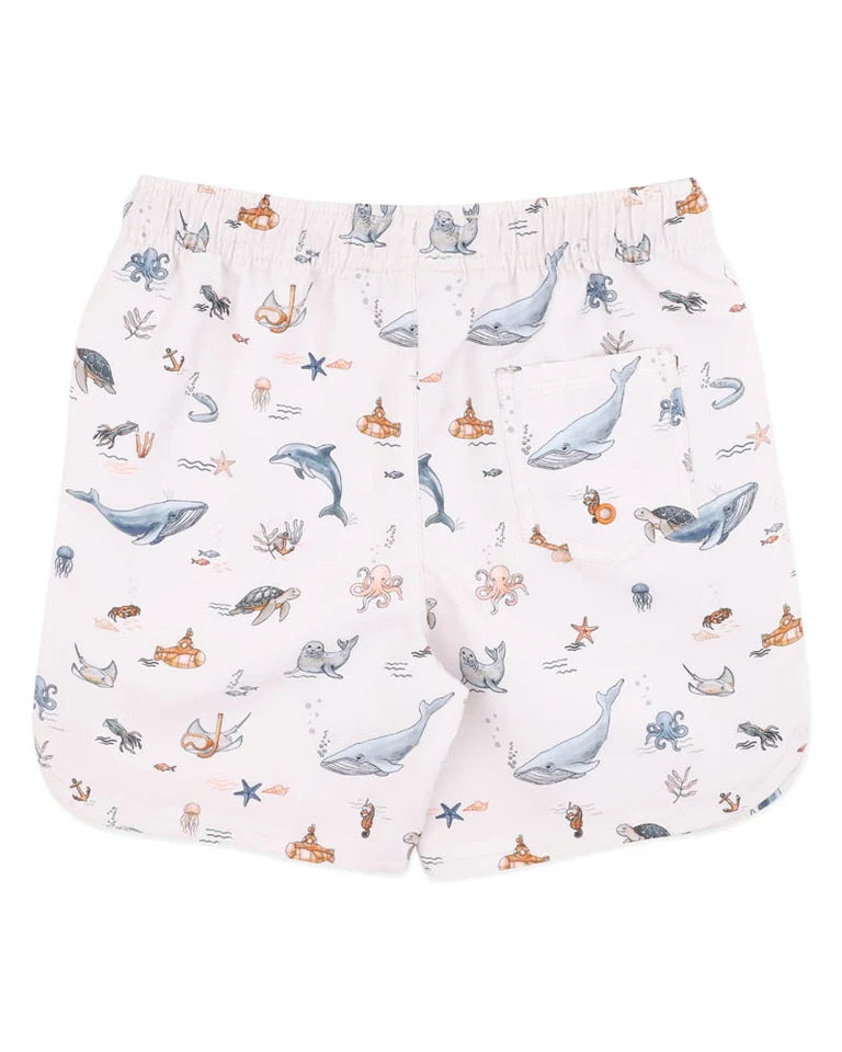 Harvey Board Shorts
