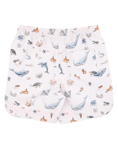 Harvey Board Shorts