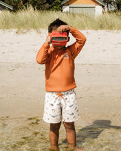 Load image into Gallery viewer, Harvey Board Shorts