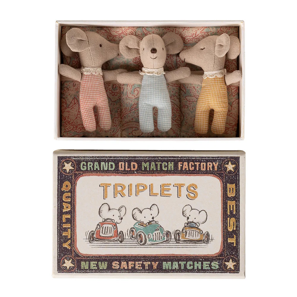 Triplets Baby Mice in Matchbox Checker