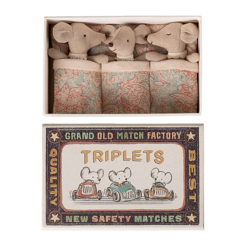 Triplets Baby Mice in Matchbox Checker