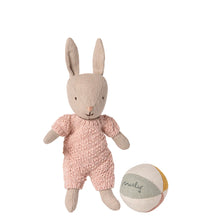 Load image into Gallery viewer, Bunny Set Micro Sand Rose