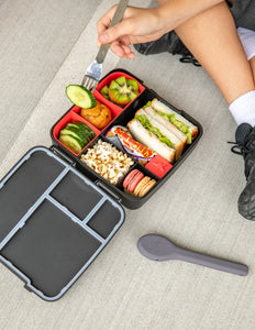 Feast Bento Tray | Watermelon