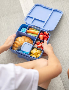 Feast Bento Lunch Box | Splash