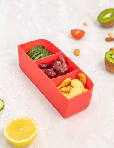 Feast Bento Tray | Watermelon