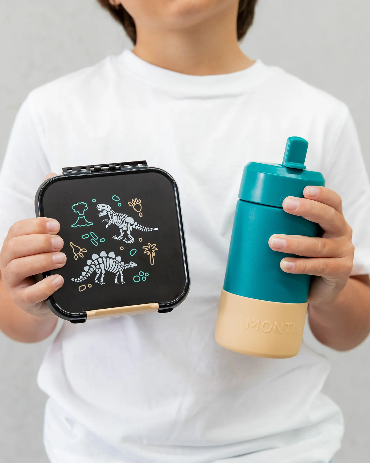 Bento Two | Dinosaur Land