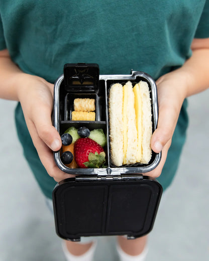 Bento Two | Dinosaur Land