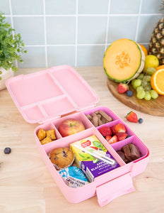 Feast Bento Tray | Floss