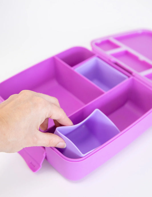 Feast Bento Cups | Dusk