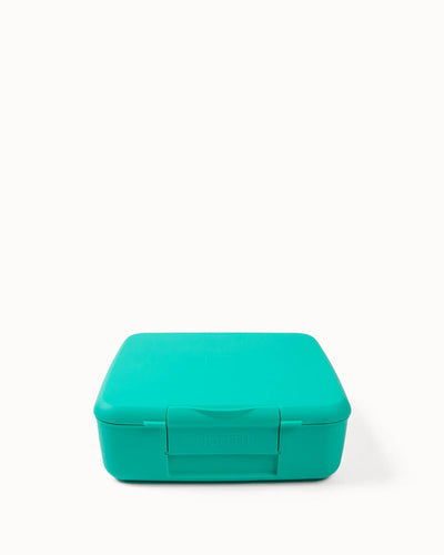 Feast Bento Lunch Box | Mojito