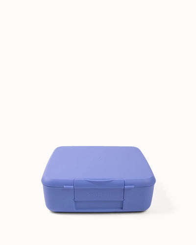 Feast Bento Lunch Box | Splash