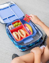 Load image into Gallery viewer, Feast Bento Lunch Box | Splash