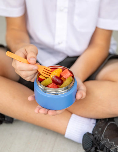 Insulated Mini Food Jar | Splash