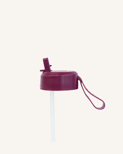 Sipper Lid and Straw | Ruby