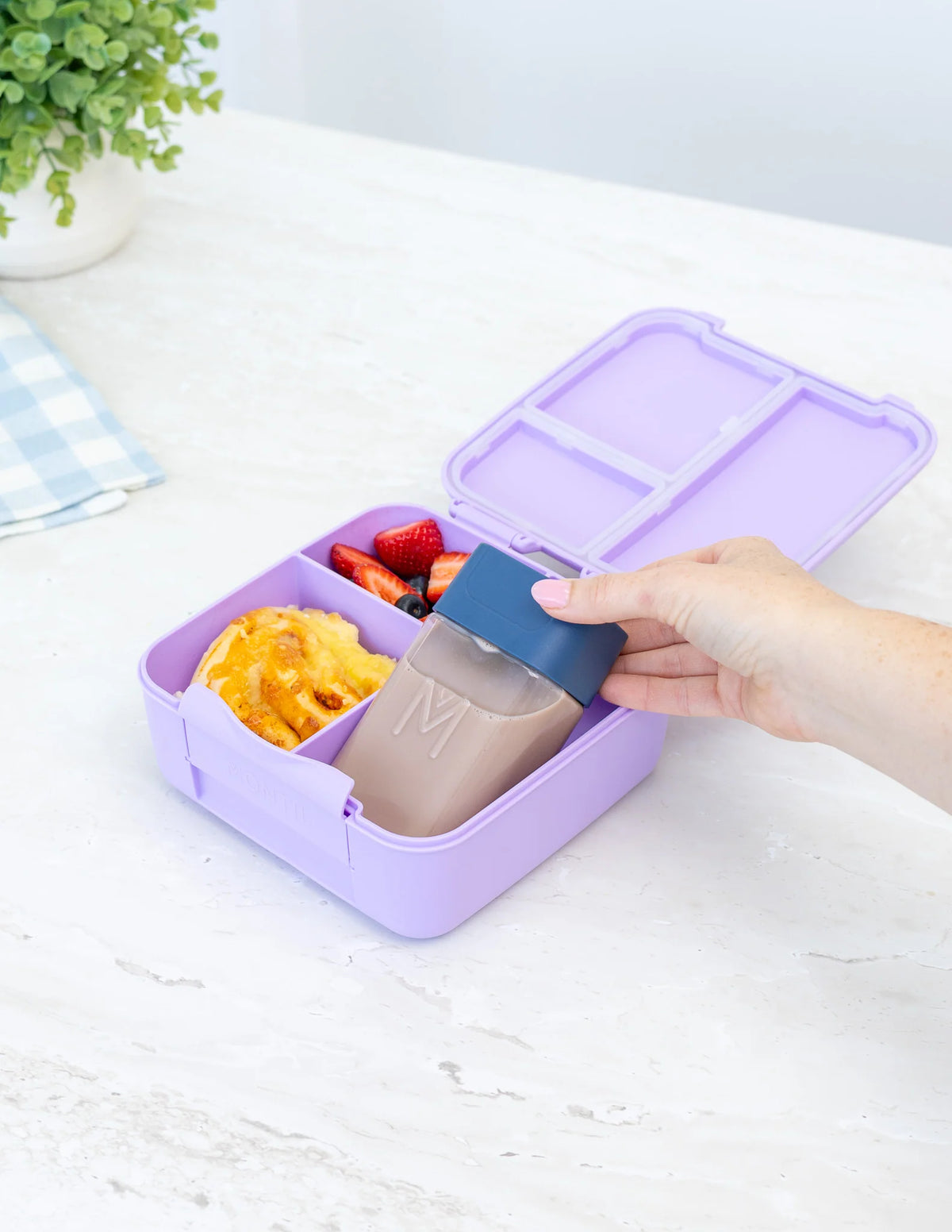 Bento Bottle | Navy
