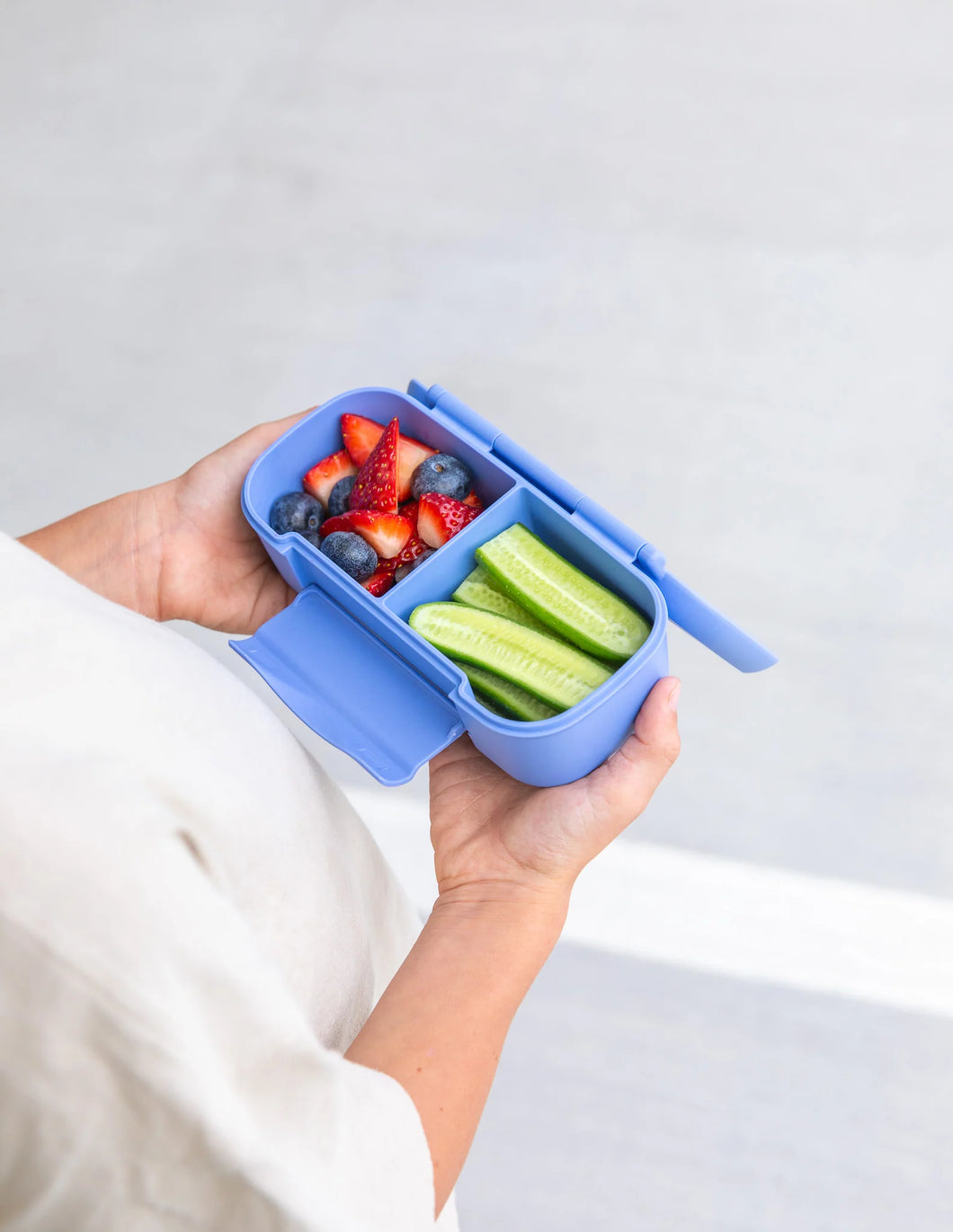Snack Box | Splash