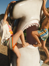 Load image into Gallery viewer, Deck Chair Bermuda Short