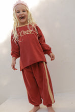 Load image into Gallery viewer, Spice Stripe Tracky Dacks