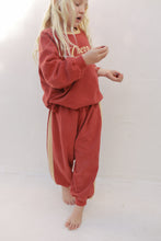 Load image into Gallery viewer, Spice Stripe Tracky Dacks