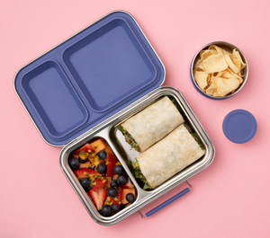 Two Compartment Leakproof Lunch Box | Indigo