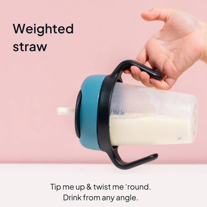 Weighted Straw Sippy Cup 2pc