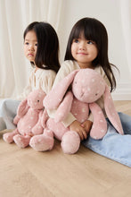 Load image into Gallery viewer, Snuggle Bunnies | Little Love Penelope 45cm