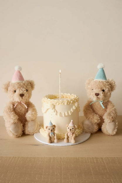 Snuggle Bunnies | Birthday Arthur | Fairy
