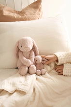 Load image into Gallery viewer, Snuggle Bunnies | Frankie the Bunny | Blush