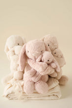 Load image into Gallery viewer, Snuggle Bunnies | Frankie the Bunny | Blush