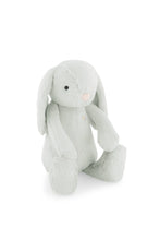 Load image into Gallery viewer, Snuggle Bunnies | Penelope the Bunny | Willow