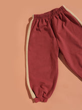 Load image into Gallery viewer, Spice Stripe Tracky Dacks