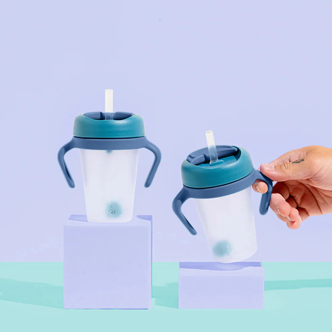 Weighted Straw Sippy Cup 2pc