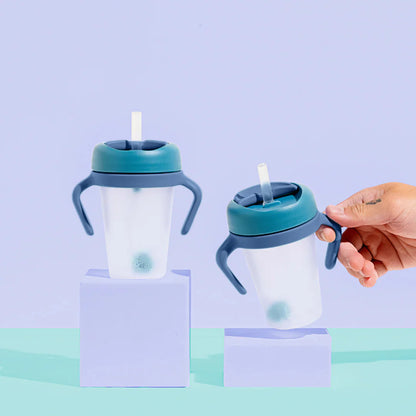 Weighted Straw Sippy Cup 2pc