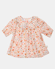 Load image into Gallery viewer, Baby Dress Peter Pan Rosie Posie