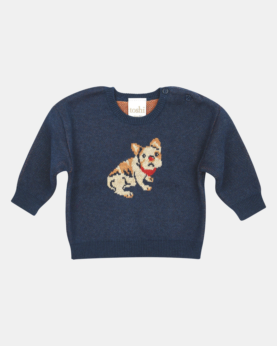 Organic Storytime Pullover| Frenchie