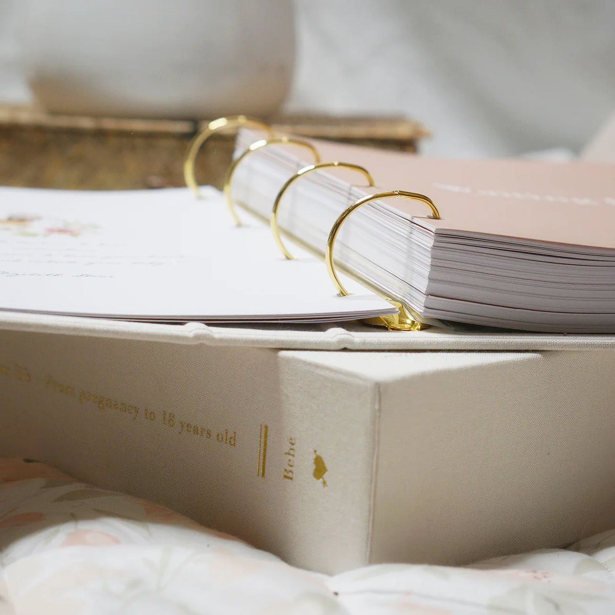 Bebé Baby Journal | Keepsake Binder