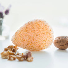 Load image into Gallery viewer, Walnut Konjac Sponge