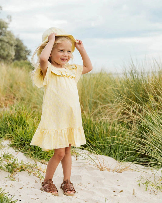 Libby Check Dress with Emb. Yoke