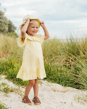 Load image into Gallery viewer, Libby Check Dress with Emb. Yoke