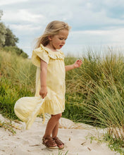 Load image into Gallery viewer, Libby Check Dress with Emb. Yoke